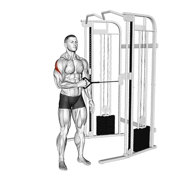 Cable Standing Shoulder External Rotation