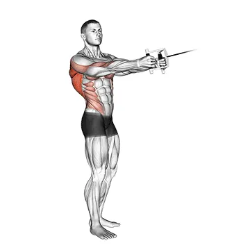 Cable Standing Twist Row (V bar)