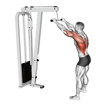 Straight-Arm Pulldown
