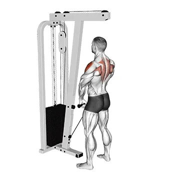 Cable Upright Row