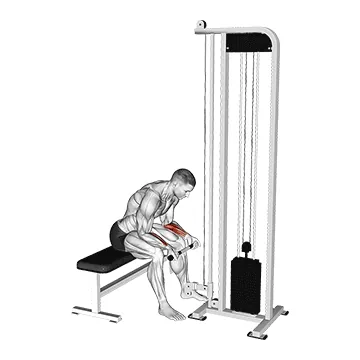 Cable Wrist Curl