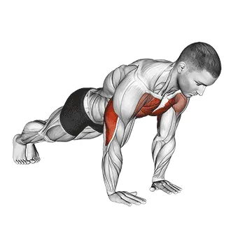 Close Grip Push Up