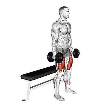 Dumbbell Bench Squat