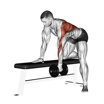 Bent-Over Dumbbell Row