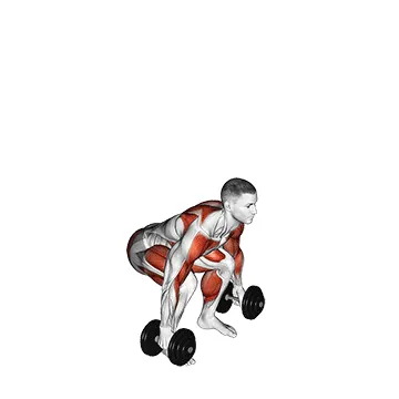 Dumbbell Clean