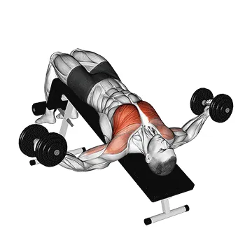 Decline Dumbbell Fly