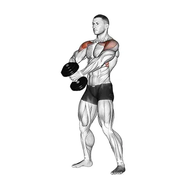 Front Raise