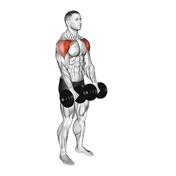 Dumbbell Front Raise