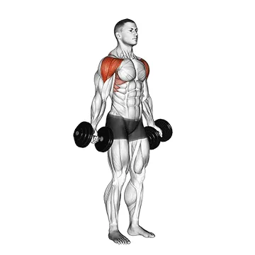 Dumbbell Full-Can Lateral Raise