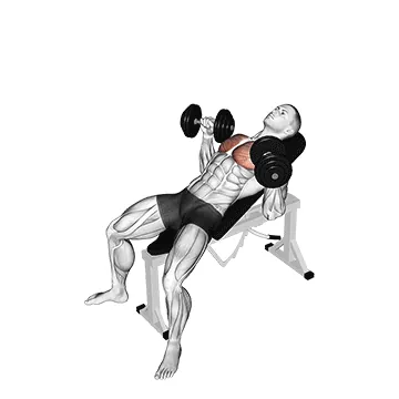 Incline Dumbbell Bench Press