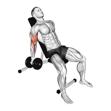 Incline Dumbbell Curl