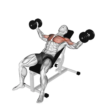 Incline Dumbbell Fly