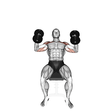 Dumbbell Incline Hammer Press
