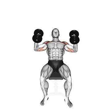 Dumbbell Incline Hammer Press