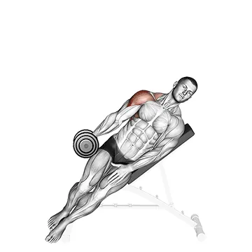 Dumbbell Incline One-Arm Lateral Raise