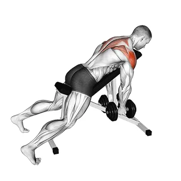 Dumbbell Incline Rear Lateral Raise