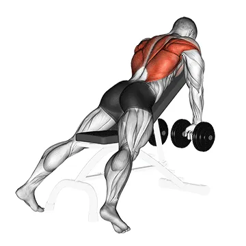 Chest-Supported Row