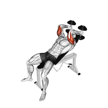 Dumbbell Incline Triceps Extension