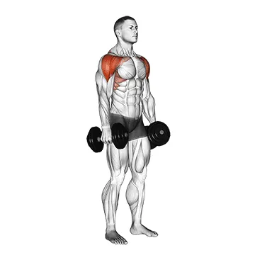 Dumbbell Lateral-to-Front Raise