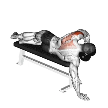 Dumbbell Lying One-Arm Deltoid Rear