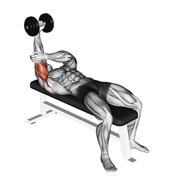 Dumbbell Lying One-Arm Pronated Triceps Extension