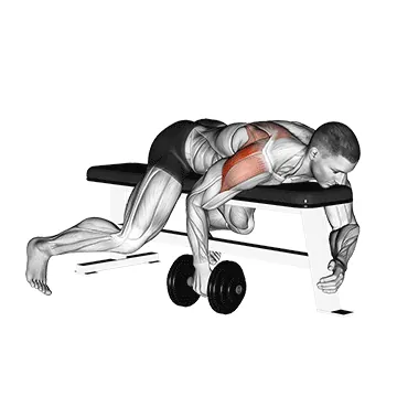 Dumbbell Lying One-Arm Rear Lateral Raise