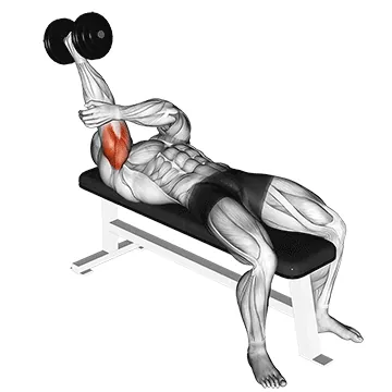 Dumbbell Lying One-Arm Supinated Triceps Extension