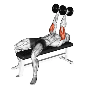 Dumbbell Neutral-Grip Bench Press