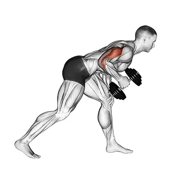 Dumbbell One-Arm Kickback