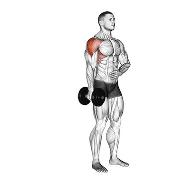 Dumbbell One-Arm Lateral Raise