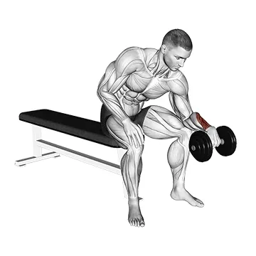 Dumbbell One-Arm Reverse Wrist Curl