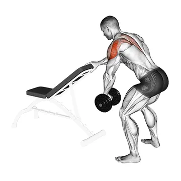 Dumbbell One-Arm Reverse Fly
