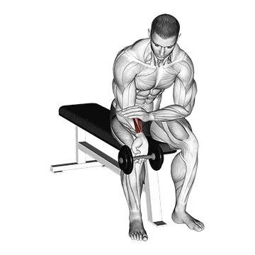 Dumbbell One-Arm Wrist Curl