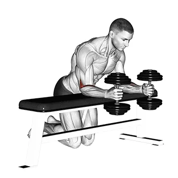 Dumbbell Over-Bench Neutral Wrist Curl