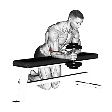 Dumbbell Over-Bench One-Arm Neutral Wrist Curl