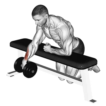 Dumbbell Over-Bench One-Arm Wrist Curl