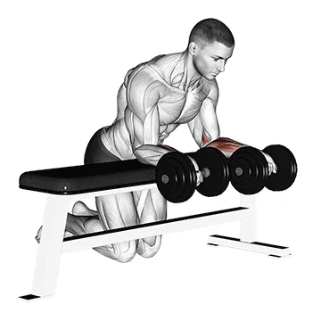 Reverse Wrist Curl