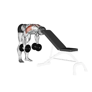 Dumbbell Rear Lateral Raise (Head Support)