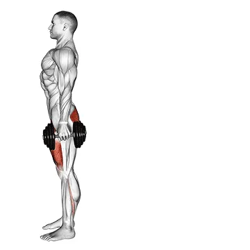 Reverse Lunge