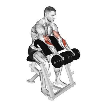 Dumbbell Reverse Preacher Curl