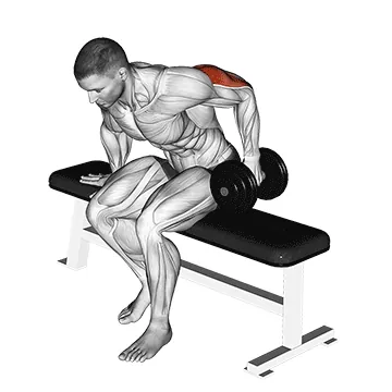 Dumbbell Seated One-Arm Kickback