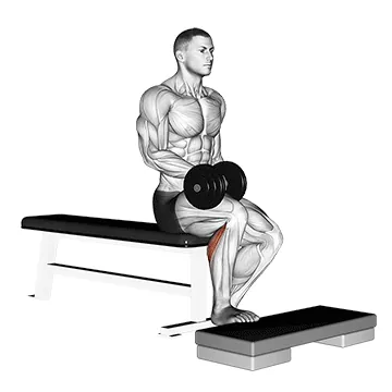Dumbbell Seated One-Leg Calf Raise