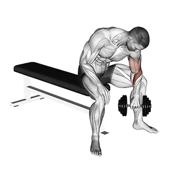 Dumbbell Seated Reverse-Grip Concentration Curl