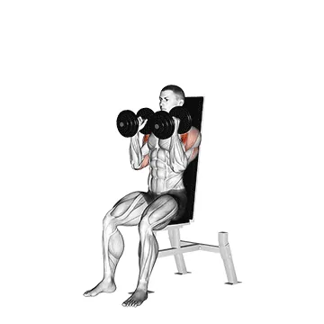 Dumbbell Seated Shoulder Press