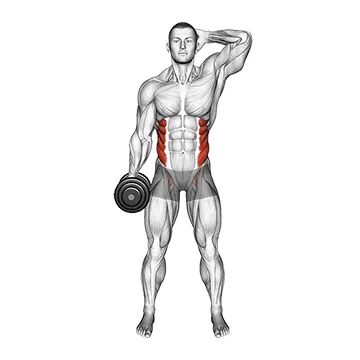 Dumbbell Side Bend