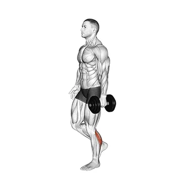 Dumbbell Single-Leg Calf Raise