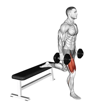 Dumbbell Single-Leg Split Squat