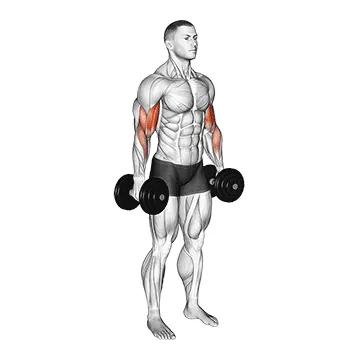 Dumbbell Standing Biceps Curl
