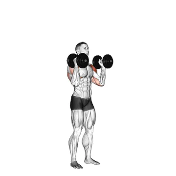 Dumbbell Standing Palms-In Press