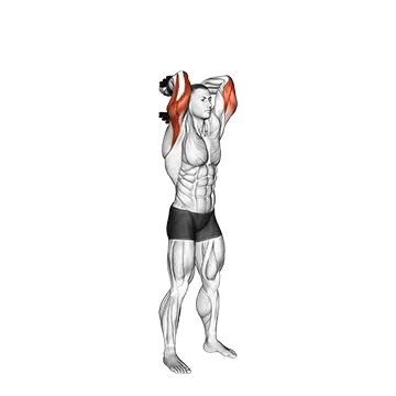 Overhead Triceps Extension